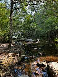 Creek at Lake Catherine