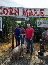 Entering a corn maze