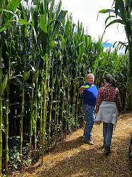Harvey and Donna leading the way