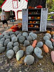 Lot of gourds