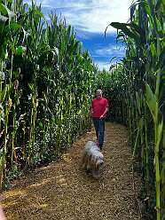 Mel and Bosley in the maze