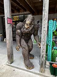 Saw Bigfoot in Jefferson, TX