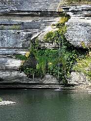 Waterfall at Cummins Ferry