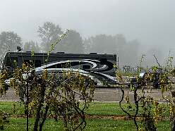 We woke up to a foggy morning at Raven's Glenn Winery