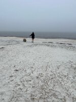 Becky & Bosley walking on Carrabelle Beach