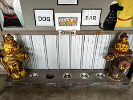 Dog Bar at Eastpoint Beer Company