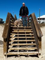 Mel and Bosley going to the beach at St George Island