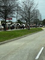 Trail riders making their way into Houston