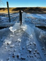 Yep, it got cold in Vidalia, LA