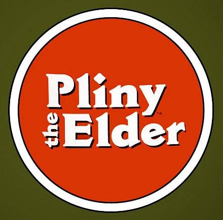 Pliny the Elder (Russian River) - Double IPA